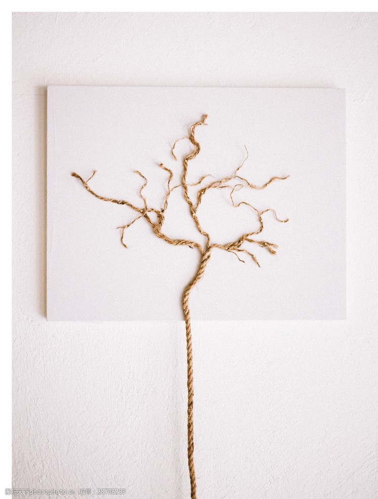 art绳树