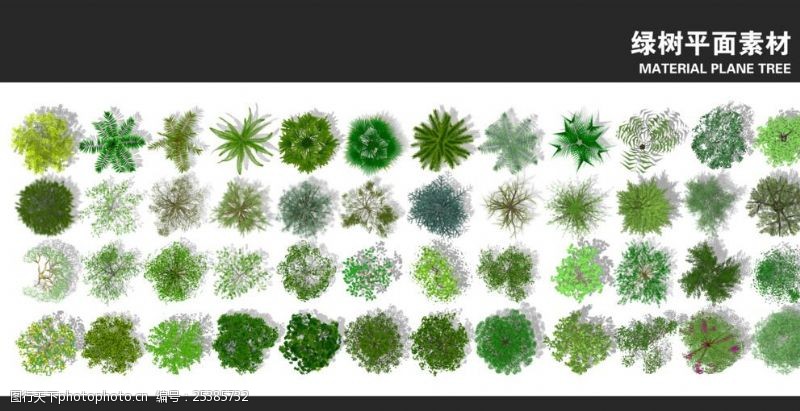 乔木立面素材植物素材