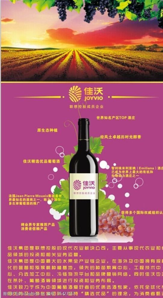 葡萄酒介绍佳沃葡萄酒海报