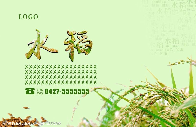 五谷杂粮广告水稻