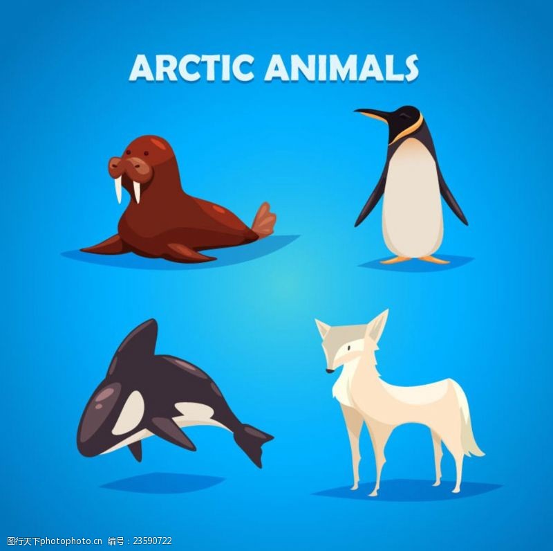 白虎南极卡通动物