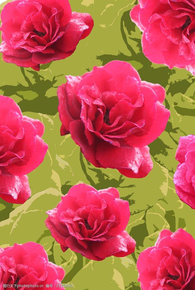 经典花纹边框红玫瑰背景设计