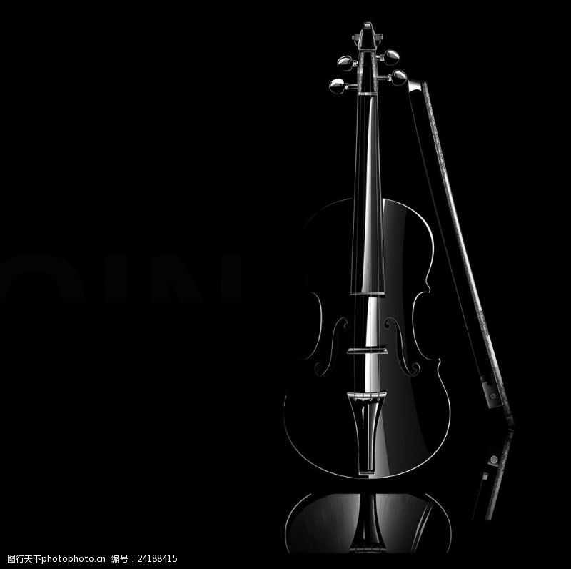 成人用品海报优雅黑白小提琴