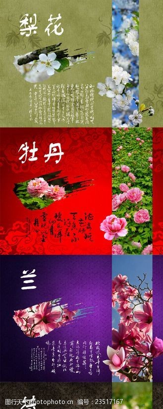 梨花中国花卉中国风底纹