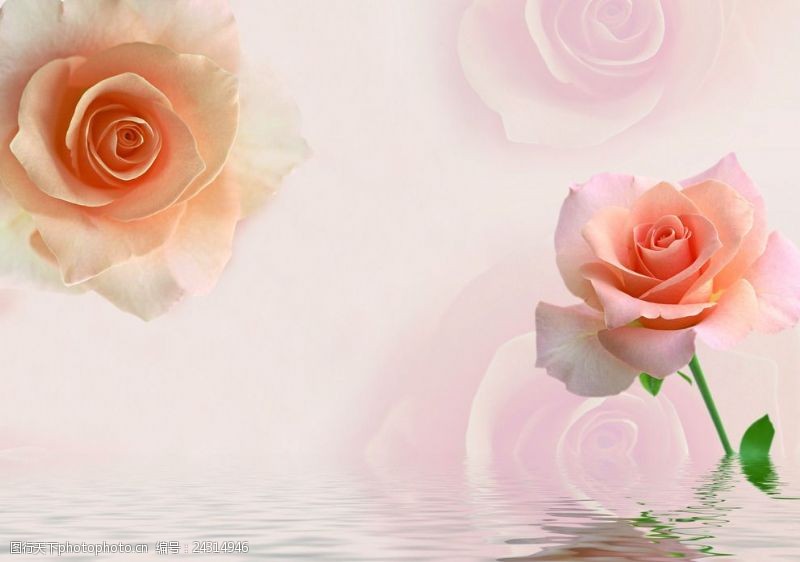 粉色玫瑰花背景简约欧式玫瑰花瓷砖打印
