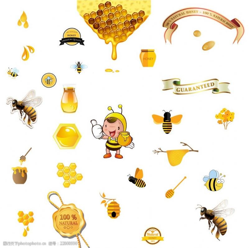 蜂蜜产品卡通蜜蜂丝带