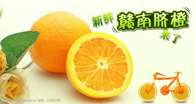 火龙果橙子赣南脐橙水果