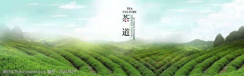 茶壶茶