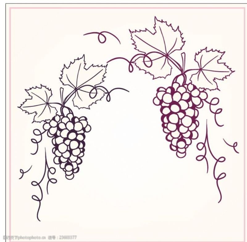 矢量水果素材手绘葡萄