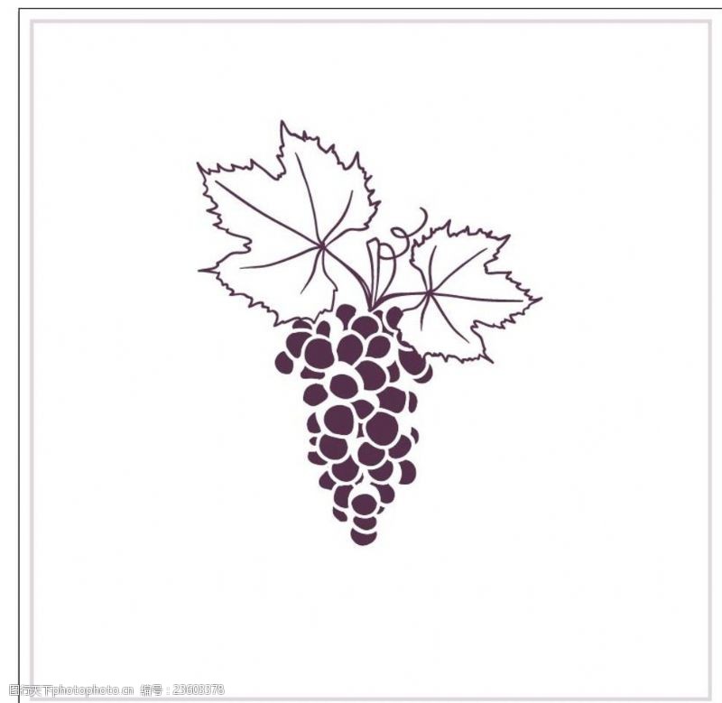 矢量水果素材手绘葡萄