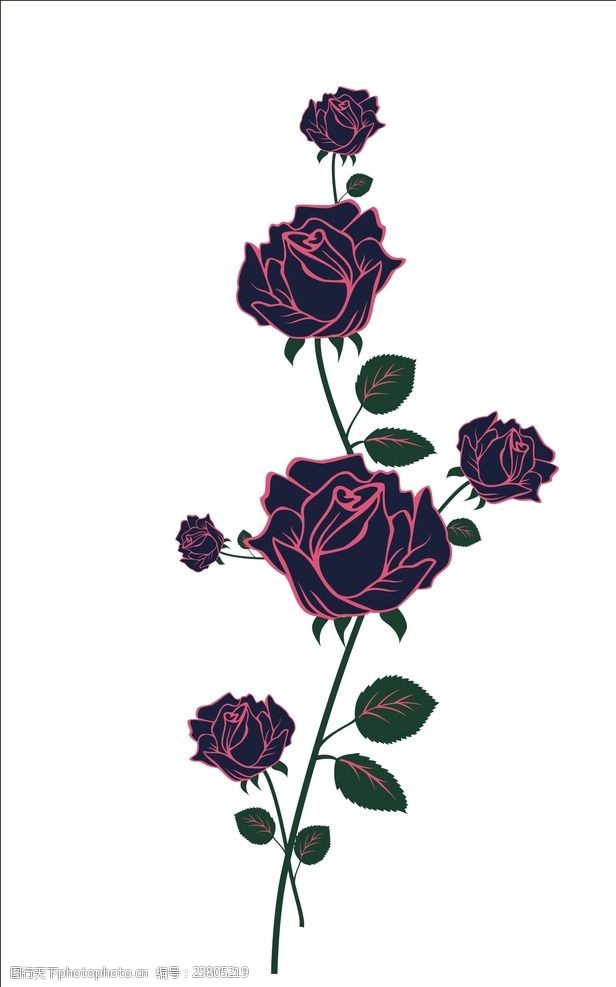 花束素材玫瑰
