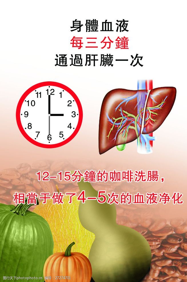 身体器官肝脏海报