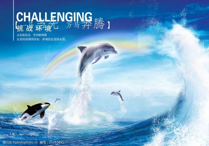 海豚飞跃海洋