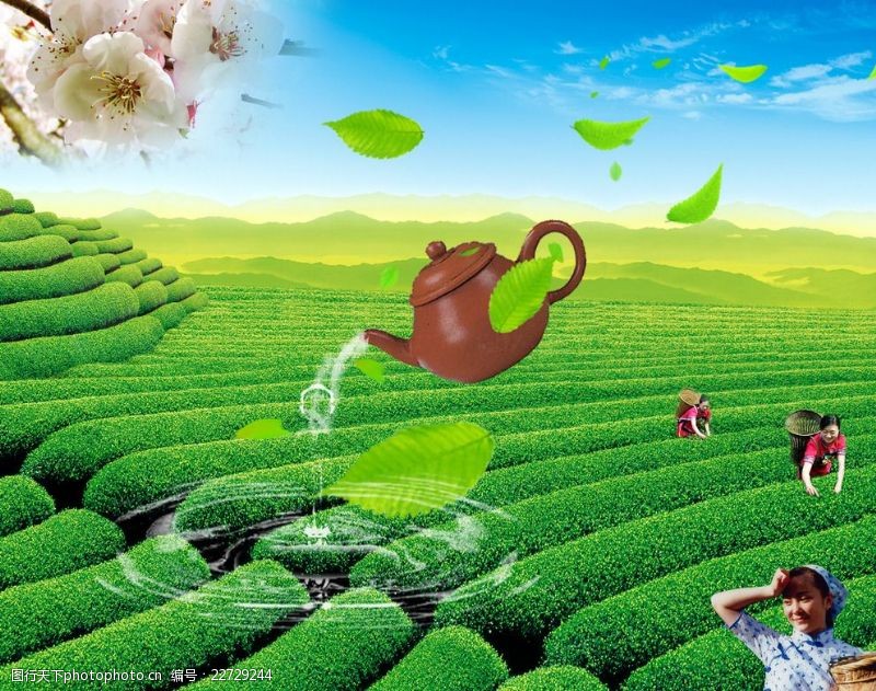水壶茶叶宣传广告背景