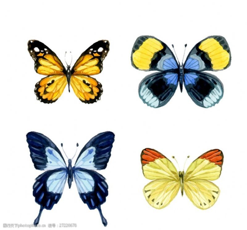 蓝色图四个蝴蝶