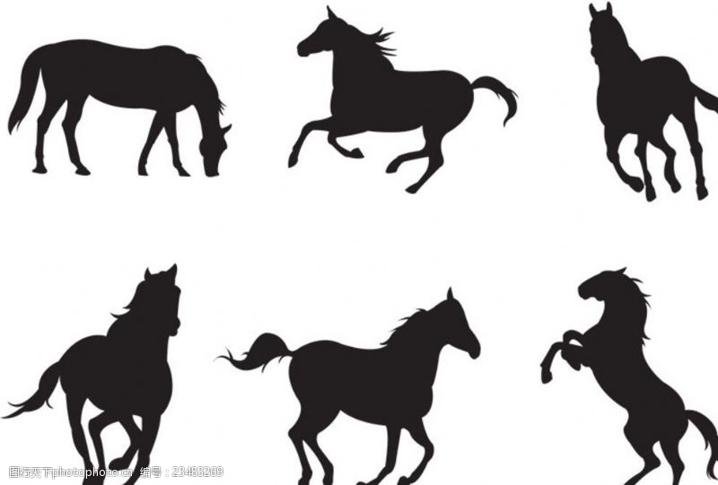 形态各种马的剪影