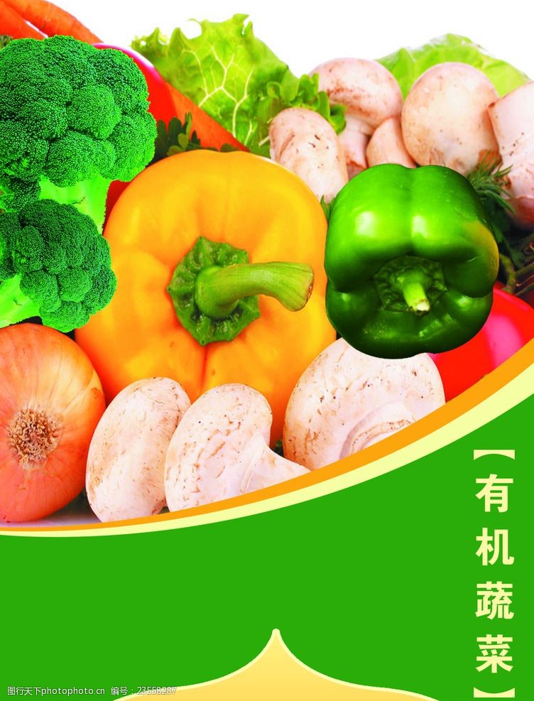 干净蔬菜海报