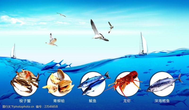 鲅鱼海产品海报