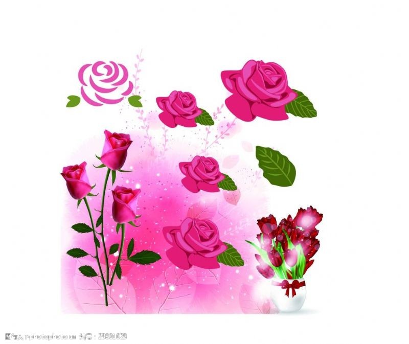 花束素材玫瑰花