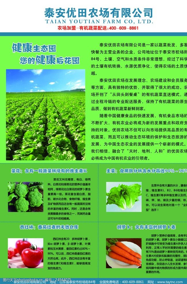 农场宣传单生态农场蔬菜介绍