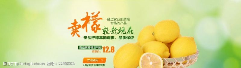 水果装饰画柠檬海报