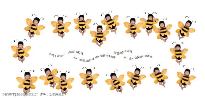 蜜蜂主题我是小蜜蜂