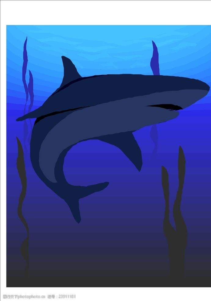 大海鲸鱼鲨鱼