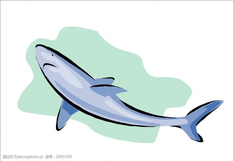 大海鲸鱼鲨鱼