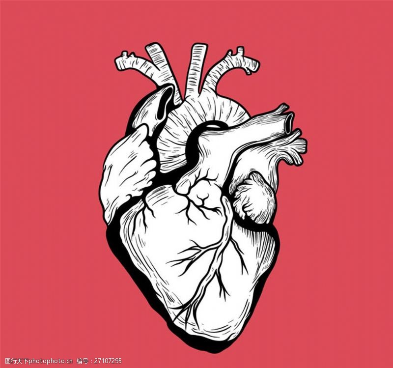 右心房手绘心脏设计矢量素材
