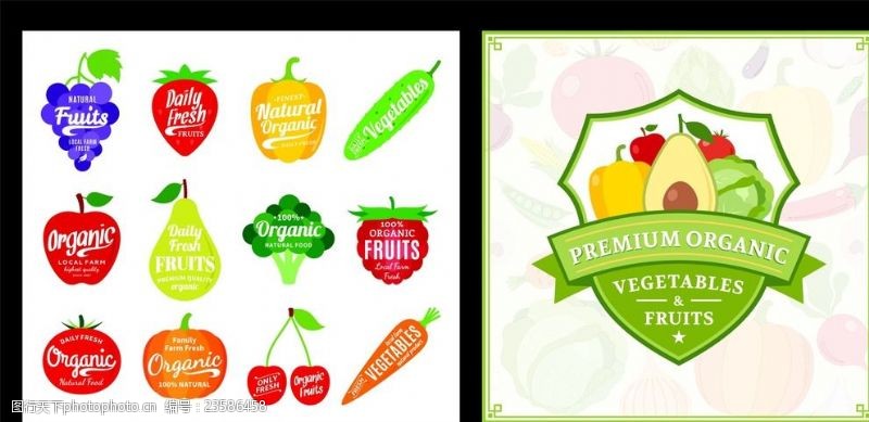 矢量水果素材时尚水果标签