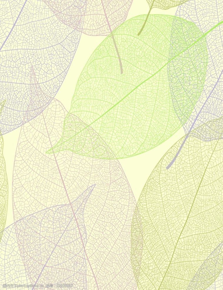 树叶图片免费下载手绘线条树叶背景