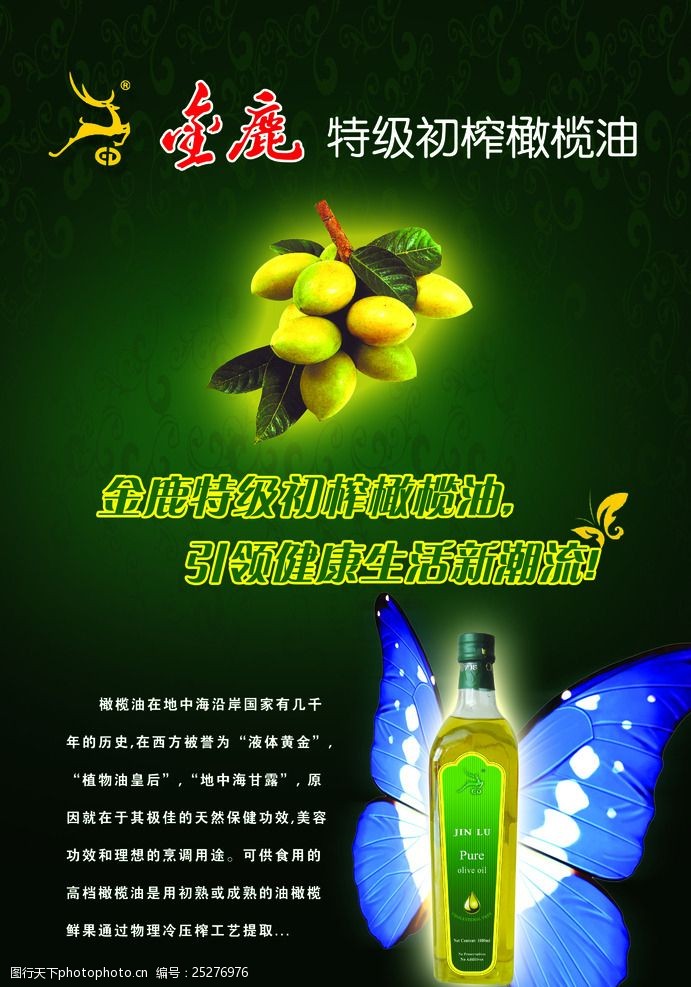 黄橄榄橄榄油海报