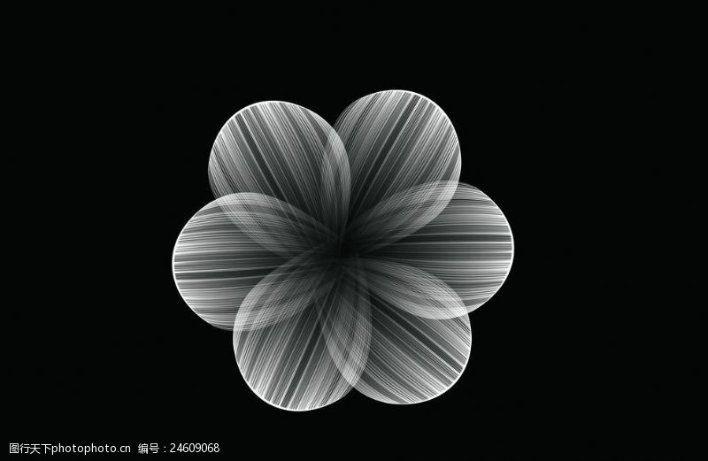 黑白基础六瓣花