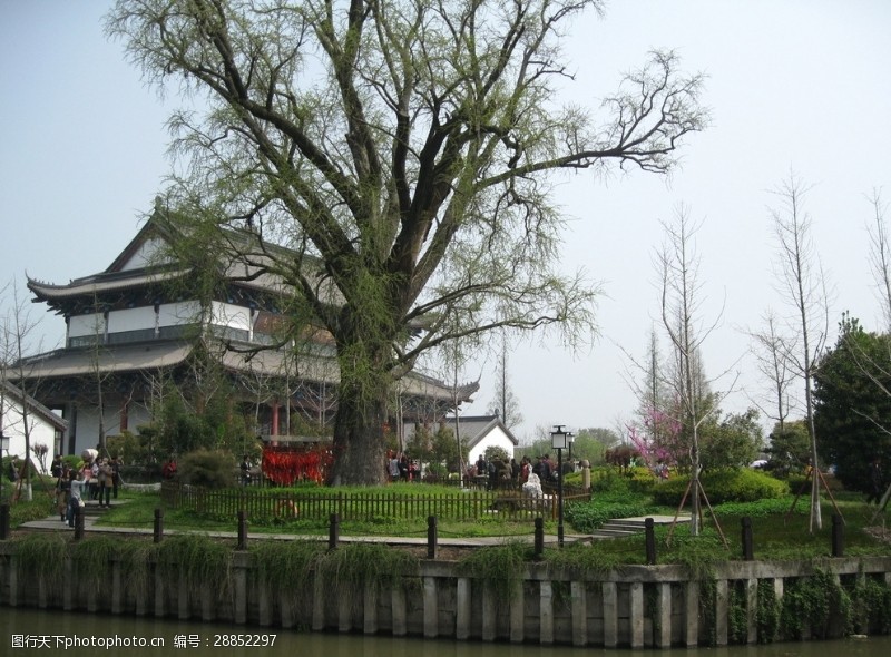 银河花园梅花洲风景