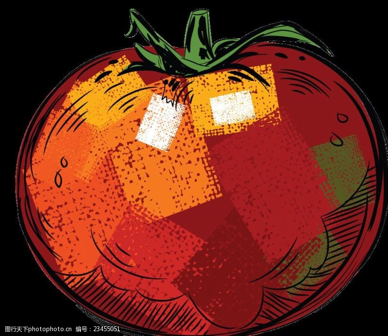 番茄片西红柿