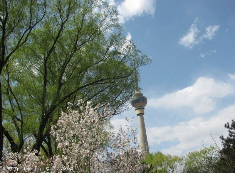 樱花公园满园春色