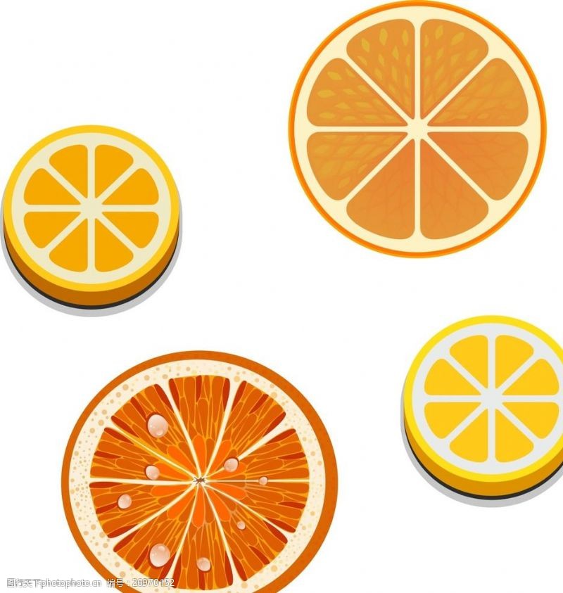 橙子切片素材矢量橙子