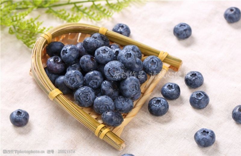 进口水果新鲜蓝莓