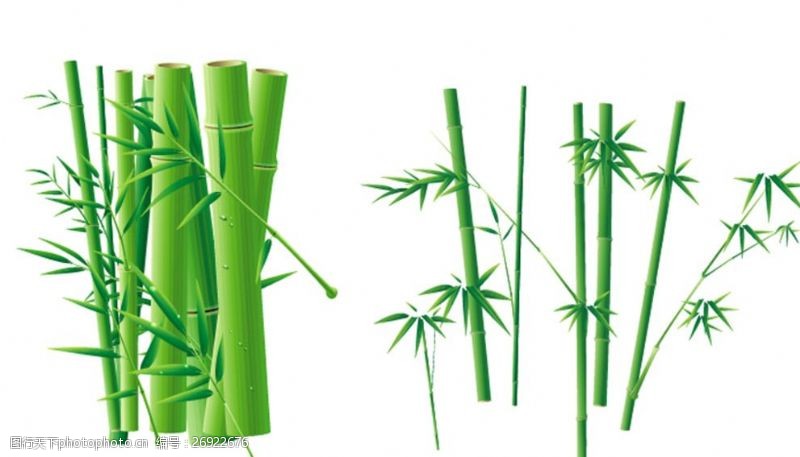 绿色环保背景矢量竹子素材