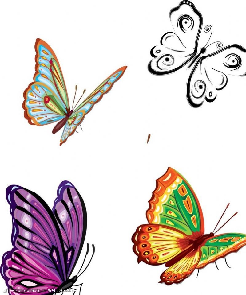 各种颜色的蝴蝶五颜六色的蝴蝶