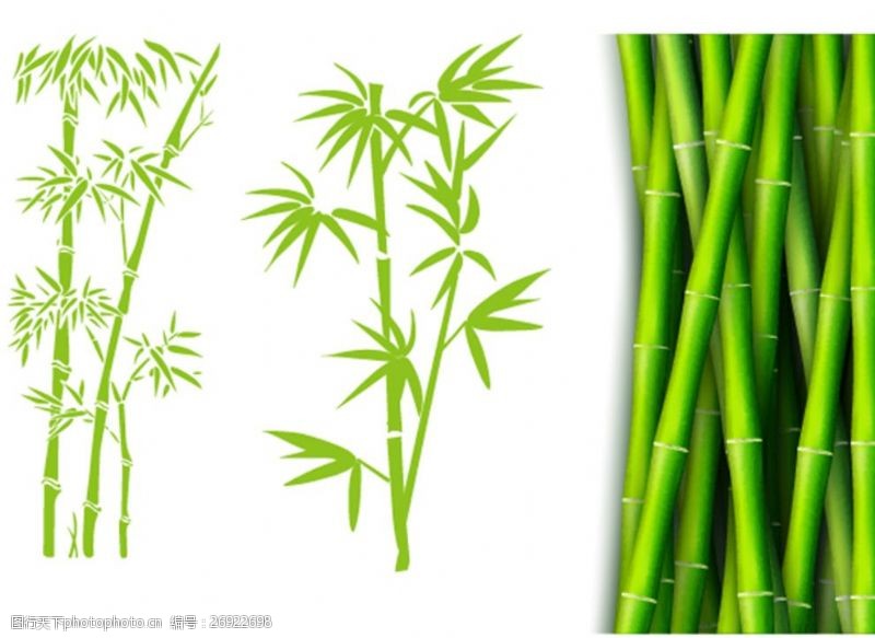 绿色环保背景竹竿竹子素材