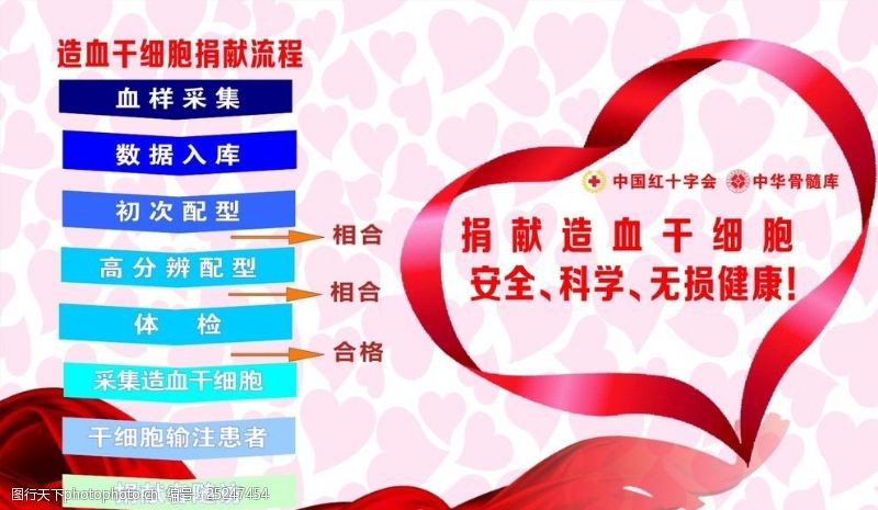 造血干细胞中国红十字会海报