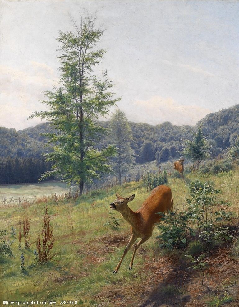 静物系列欧洲动物鹿油画