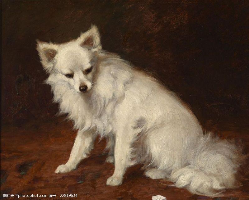 油画风格欧洲动物小狗油画