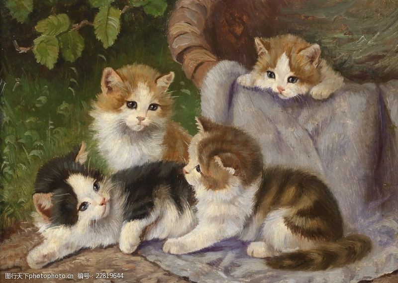静物系列欧洲动物小猫油画