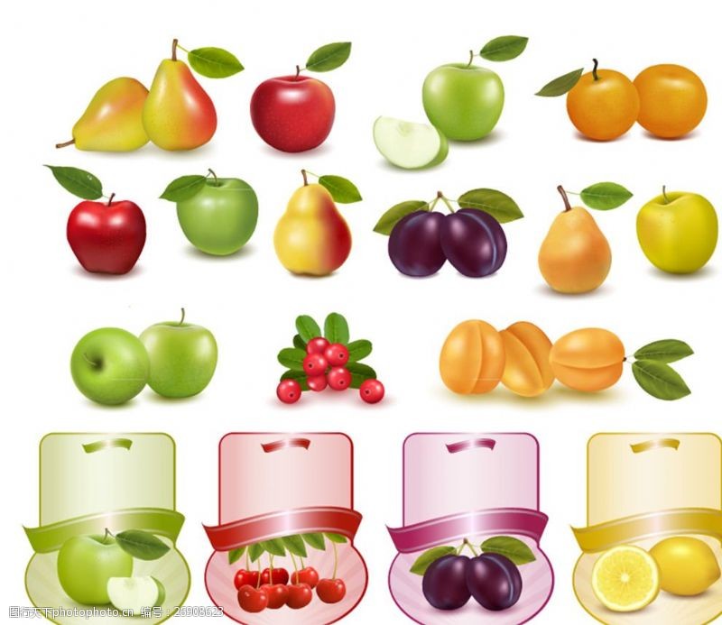 梨标签水果和标签矢量素材