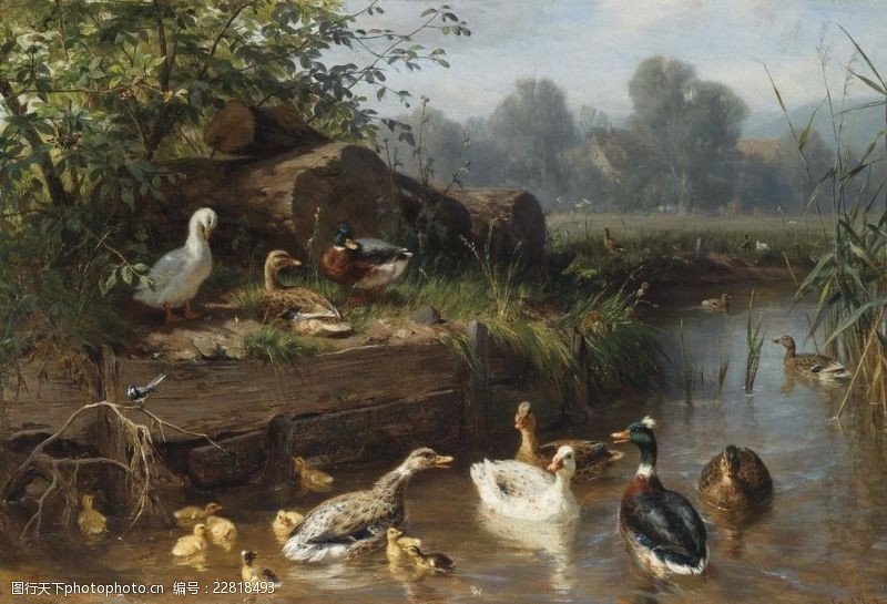 静物系列欧洲鸭群油画