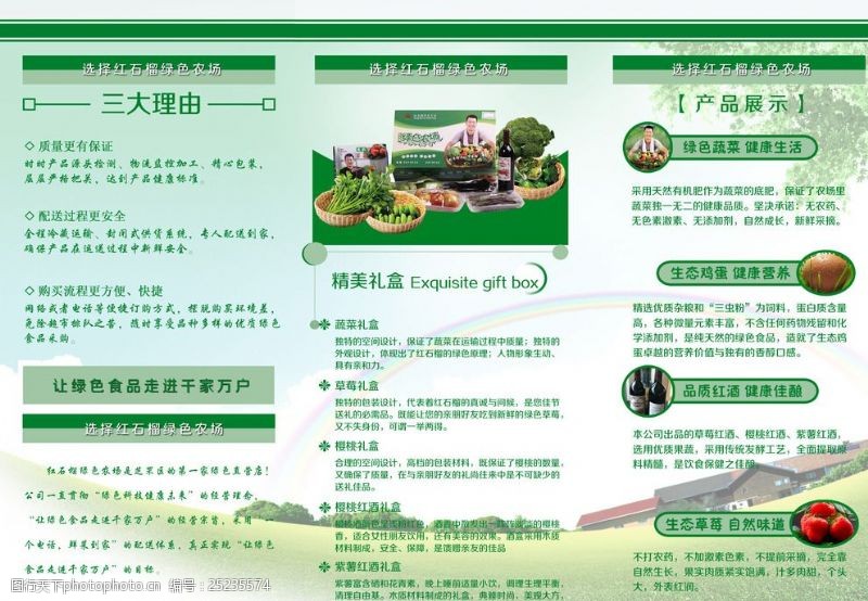 蔬菜三折页绿色农场宣传页