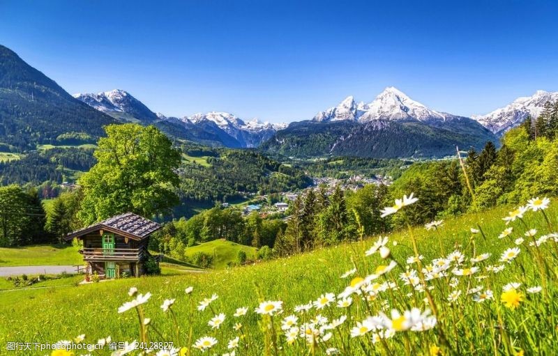 瑞士风光绿色田野