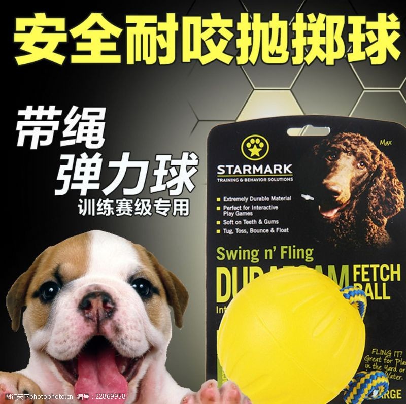 宠物食品名片抛掷球海报